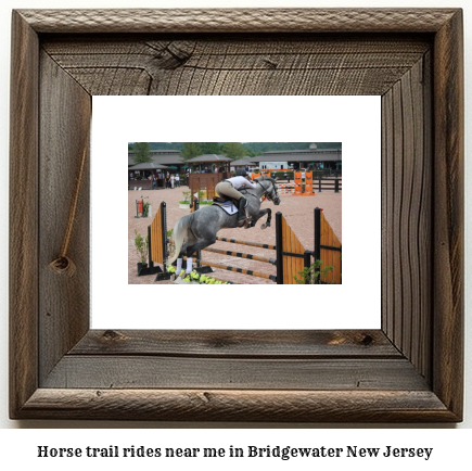 horse trail rides near me in Bridgewater, New Jersey